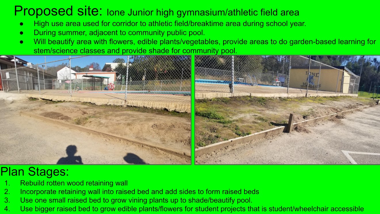 Proposed Plan for Ione Jr. High School