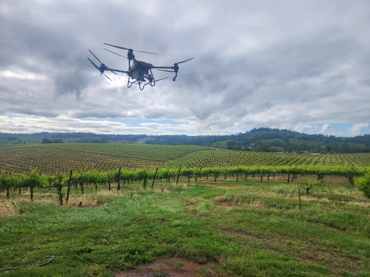 Drone 3